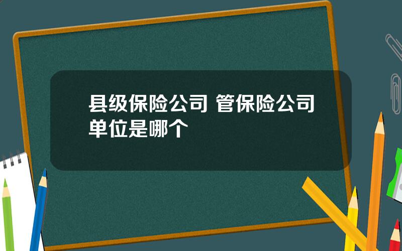 县级保险公司 管保险公司单位是哪个